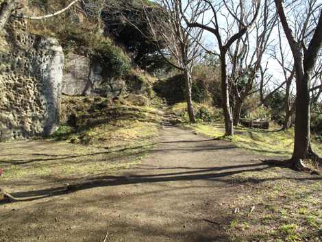 20180110hike (128)